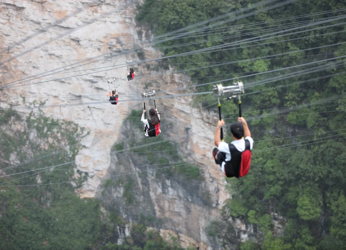 Parallel zipline cables above a forested gorge